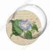 Image digitale - Fleur bleue