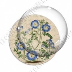Image digitale - Fleurs bleues