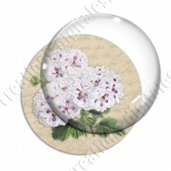 Image digitale - Fleurs blanches