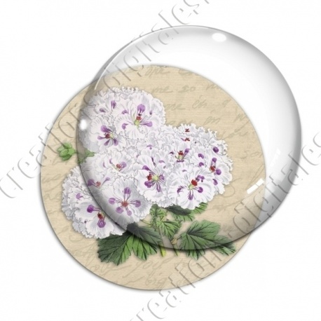 Image digitale - Fleurs blanches