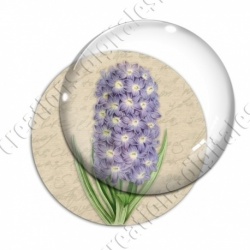 Image digitale - Fleur en grappe