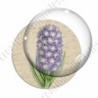 Image digitale - Fleur en grappe