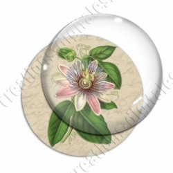 Image digitale - Grosse fleur rose