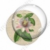 Image digitale - Grosse fleur rose
