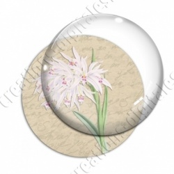 Image digitale - Fleurs blanches et roses