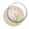 Image digitale - Fleurs blanches et roses