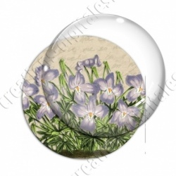 Image digitale - Fleurs violettes