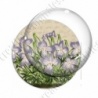 Image digitale - Fleurs violettes