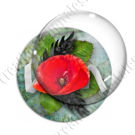Image digitale - Coquelicot fond vintage 01