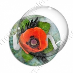 Image digitale - Coquelicot fond vintage 03