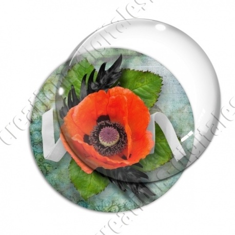 Image digitale - Coquelicot fond vintage 03