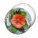 Image digitale - Coquelicot fond vintage 04