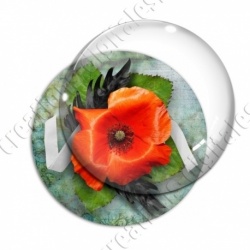 Image digitale - Coquelicot fond vintage 05
