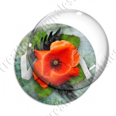 Image digitale - Coquelicot fond vintage 05
