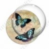 Image digitale - Papillon fond vintage