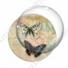 Image digitale - Papillon fond vintage