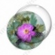 Image digitale - Montage fleur rose sur verdure