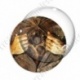 Image digitale - Steampunk 28
