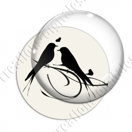 Image digitale - Oiseaux