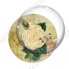 Image digitale - Fleur et libellule fond lettre vintage