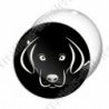 Image digitale - Chien
