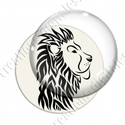 Image digitale - Lion 01
