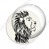 Image digitale - Lion 01