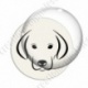 Image digitale - Chien