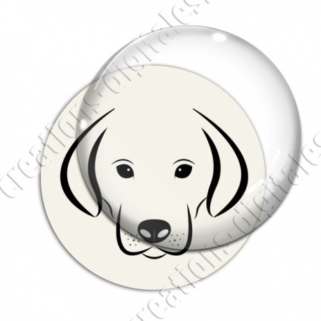 Image digitale - Chien
