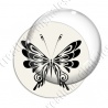 Image digitale - Papillon 13