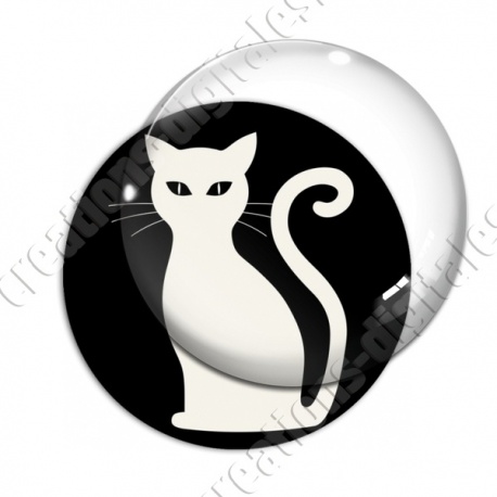 Image digitale - Chat