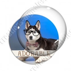 Image digitale - Husky adorable