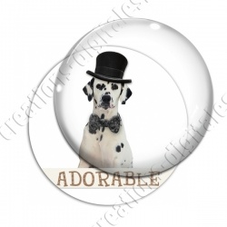 Image digitale - Dalmatien adorable