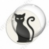 Image digitale - Chat