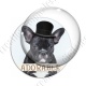 Image digitale - Bouledogue adorable