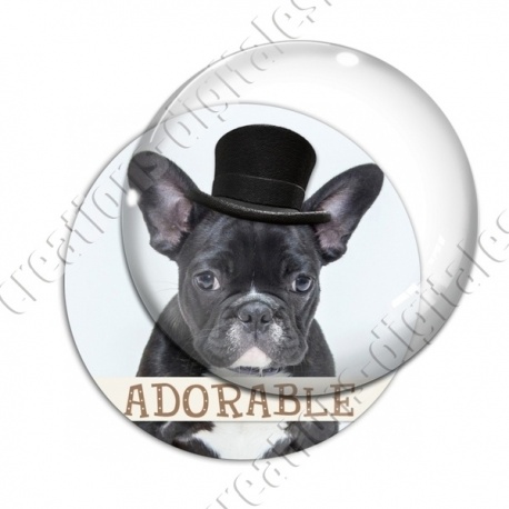 Image digitale - Bouledogue adorable