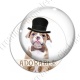 Image digitale - Bouledogue 2 adorable