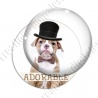 Image digitale - Bouledogue 2 adorable