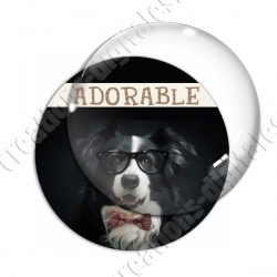 Image digitale - Border collie adorable