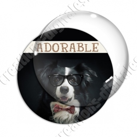 Image digitale - Border collie adorable