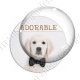 Image digitale - Golden Retriever adorable