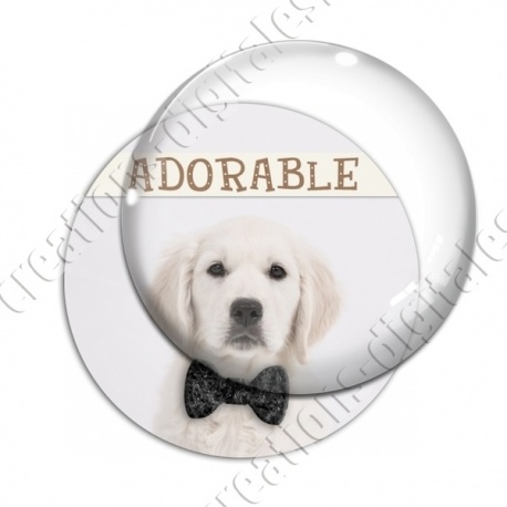Image digitale - Golden Retriever adorable