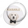 Image digitale - Golden Retriever adorable