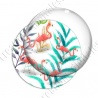 Image digitale - Flamant rose groupe 01
