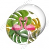 Image digitale - Flamants roses fond grosses feuilles 02