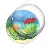 Image digitale - Poissons et tortue