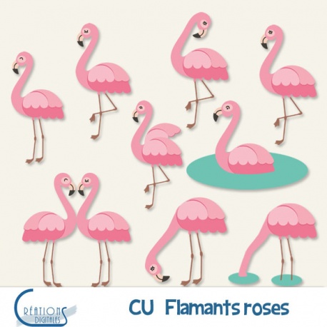 CU Flamants roses