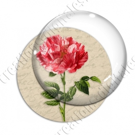 Image digitale - Fleur