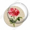 Image digitale - Fleur