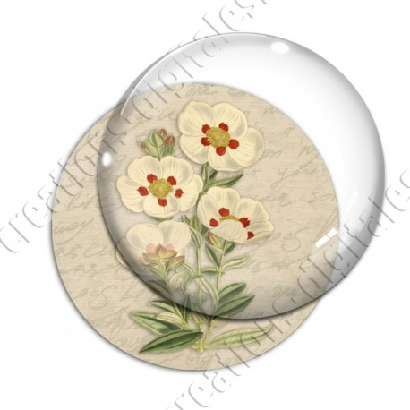Image digitale - Fleurs